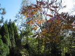Bild Nr. 8341