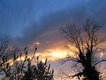 Bild Nr. 8344