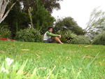 Bild Nr. 9660